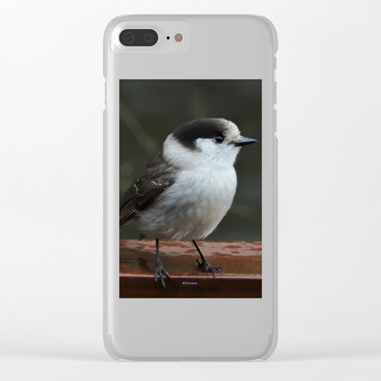 Gray Jay Clear iPhone Case