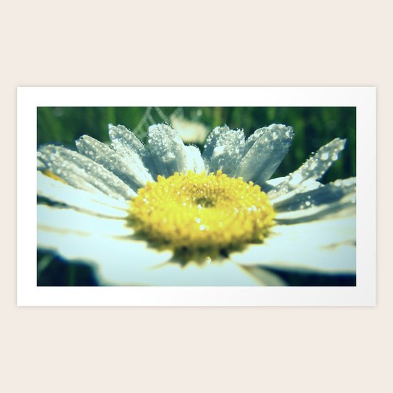 Dewy Ingenue Art Print