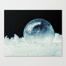 frozen little world Canvas Print