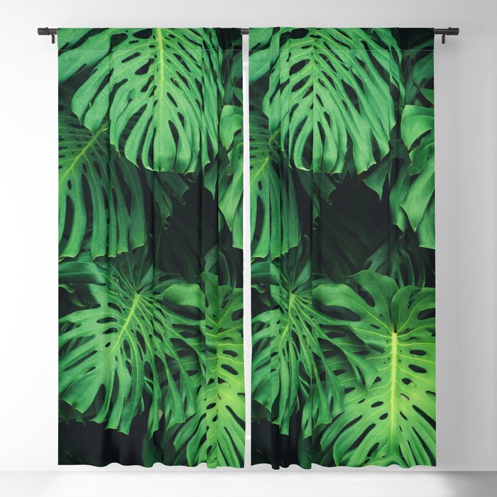 Monstera leaf jungle pattern - Philodendron plant leaves background ...