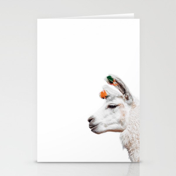 Funny Llama Portrait White Background Bolivia  Stationery Cards