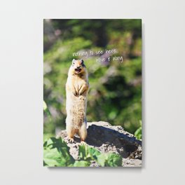 Angry Squirrel Has A Friend Metal Print