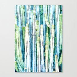 Cactus Blue Green Colors V Canvas Print