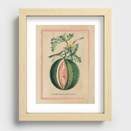 Vintage Botanical Print VI Recessed Framed Print