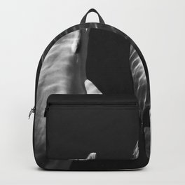 Beautiful wild dolphins black and white Backpack | Dolphinpicture, White, Black, Dolphin, Dolphinphotograph, Dolphinphotography, Oceandecor, Dolphinartwork, Dolphinart, Photo 