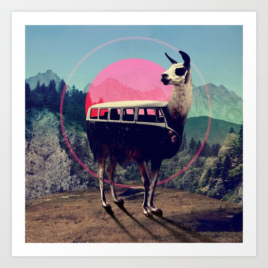 Llama Art Print