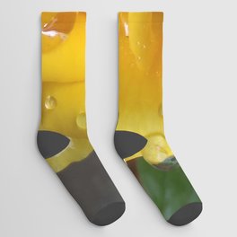 Yellow Rose with Dew Drops Socks