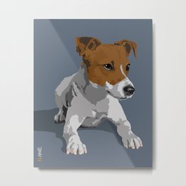 Jack Russell Terrier Dog Metal Print
