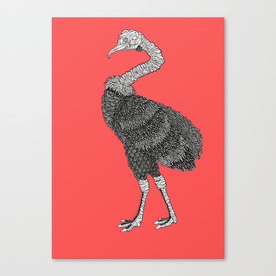 Greater Rhea Canvas Print
