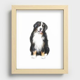 Bernese Mountain Dog Recessed Framed Print