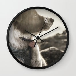 Rowen, the Collie Pup Wall Clock | Rowen, Hike, Digital Manipulation, Hiking, Tuolumne, Sunlight, Lake, Digital, Photo, Mountain 