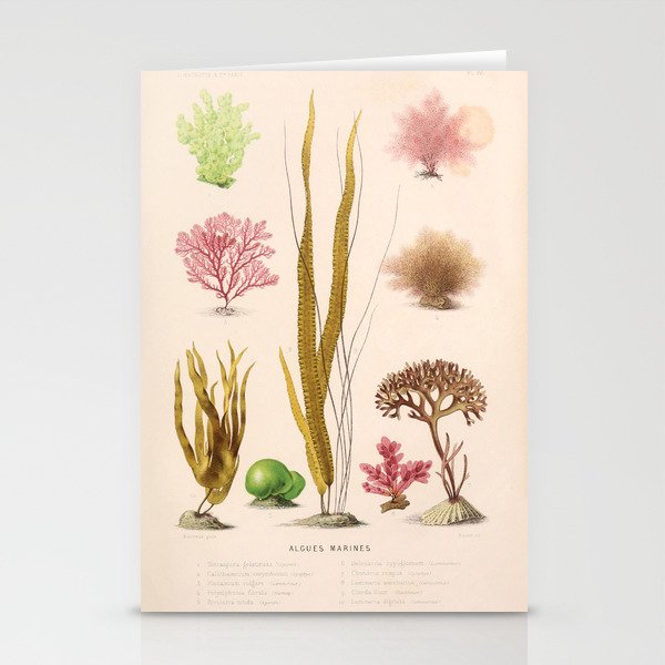 Algae from "Le Monde de la Mer," 1866 (benefitting The Nature Conservancy) Stationery Cards