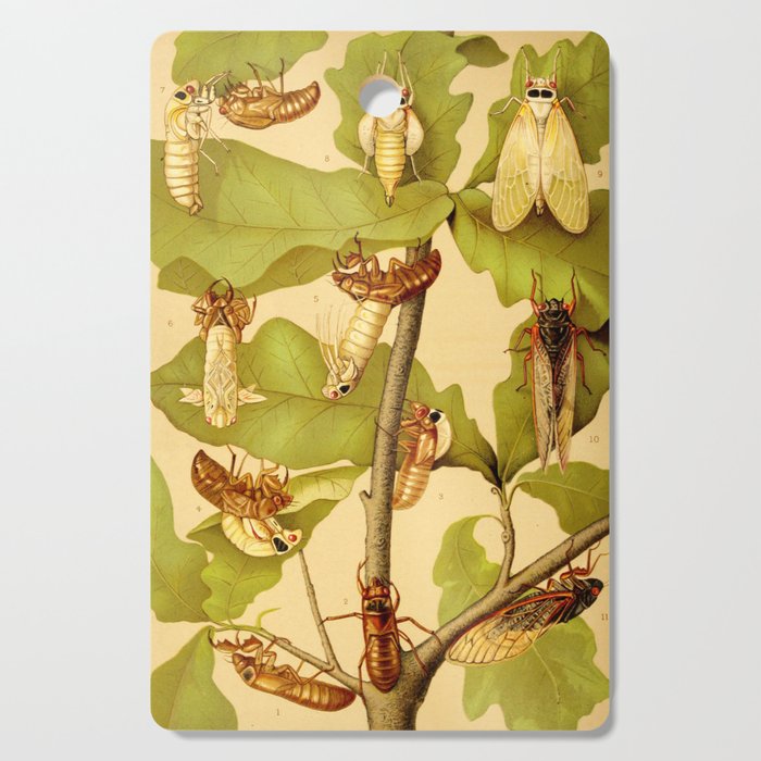 Transformation of Cicada Septemdecim by Lillie Sullivan, 1898 (benefitting The Nature Conservancy) Cutting Board