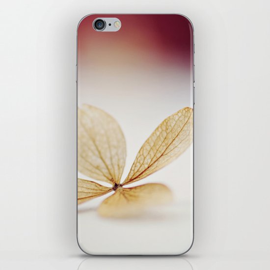 Sheer iPhone & iPod Skin