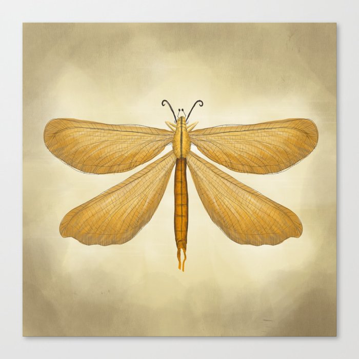 dragonfly Canvas Print