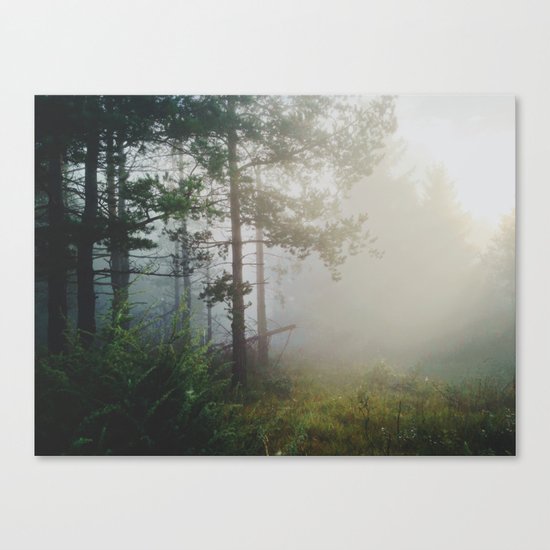 Fog in the forest Canvas Print