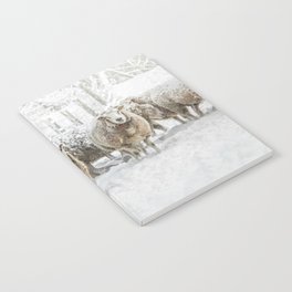 White Winter Landscape Snow Sheep Notebook