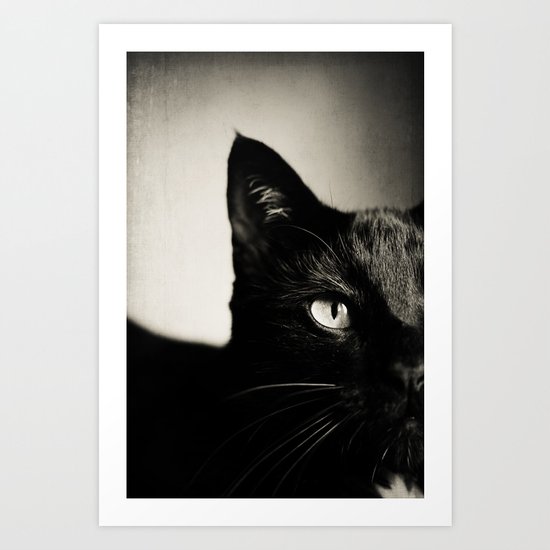 Black Cat Art Print