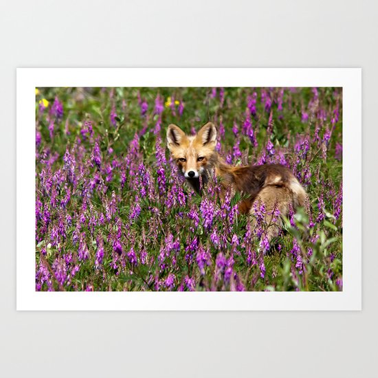 Tip Toe Through the Fireweed Art Print