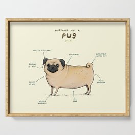 Anatomy of a Pug Serving Tray