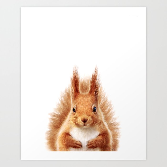 Baby Squirrel, Woodland Animals, Kids Art, Baby Animals Art Print By Synplus Art Print