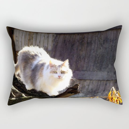 The Beautiful Maine Coon Dilute Calico Rectangular Pillow