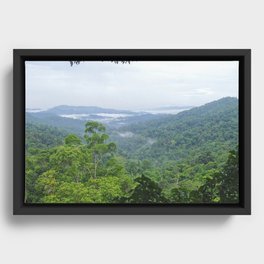 Lao Jungle Framed Canvas