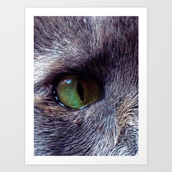Cat Eye Art Print