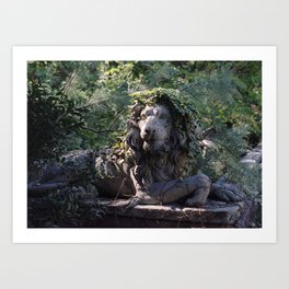 Lion in the Garden | 35mm Film Photography Art Print