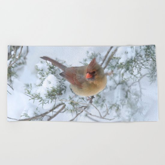 Drifting (Northern Cardinal) Beach Towel