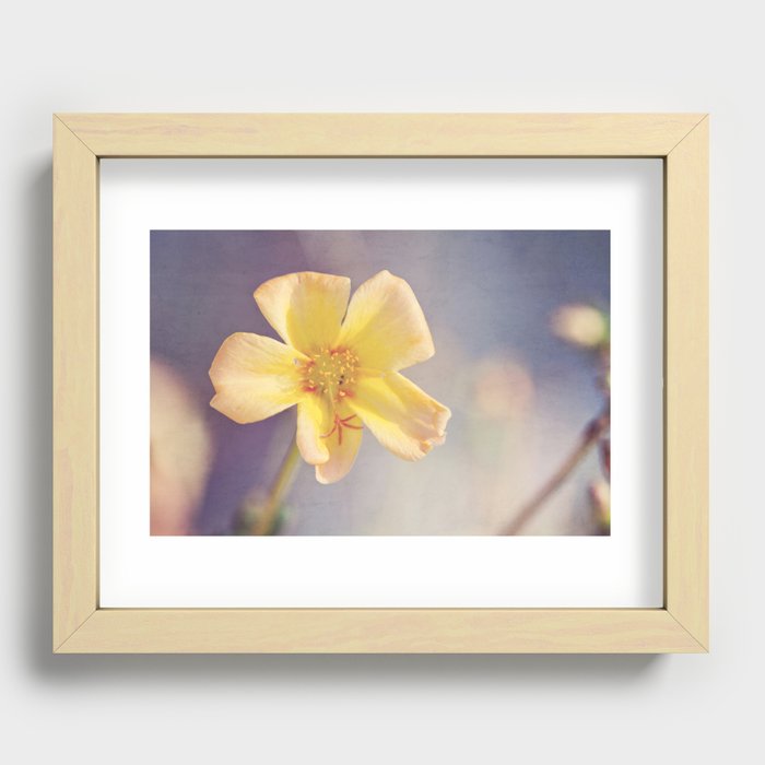 A Little Yellow Flower Recessed Framed Print