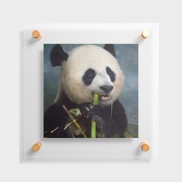 Panda Floating Acrylic Print