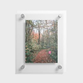 Forest Trail Floating Acrylic Print