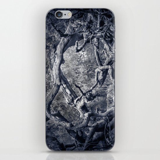 Twisted Window iPhone & iPod Skin