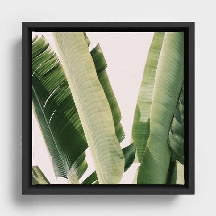 Banana Leaf #1 Framed Canvas