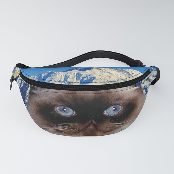 Cat fanny sales pack