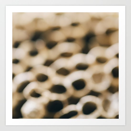 Honeycomb Art Print