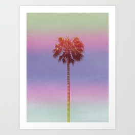 Rainbow Palm Tree Art Print