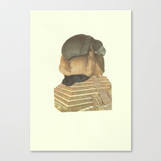 Sinai Canvas Print