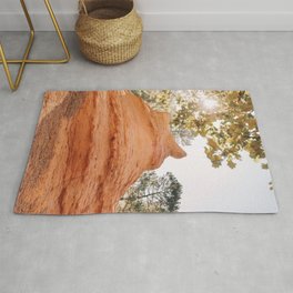 The ochre trail Roussillon France / golden travel photography print / autumn colors art print Rug