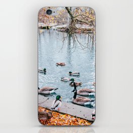 Autumn in the park with swimming birds. iPhone Skin