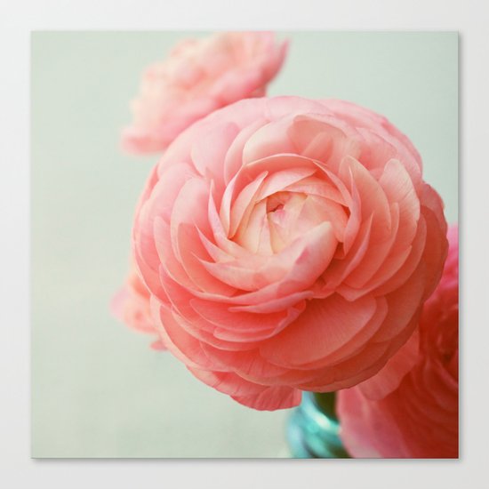 Fandango Canvas Print