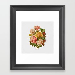 Rose Botanical Framed Art Print