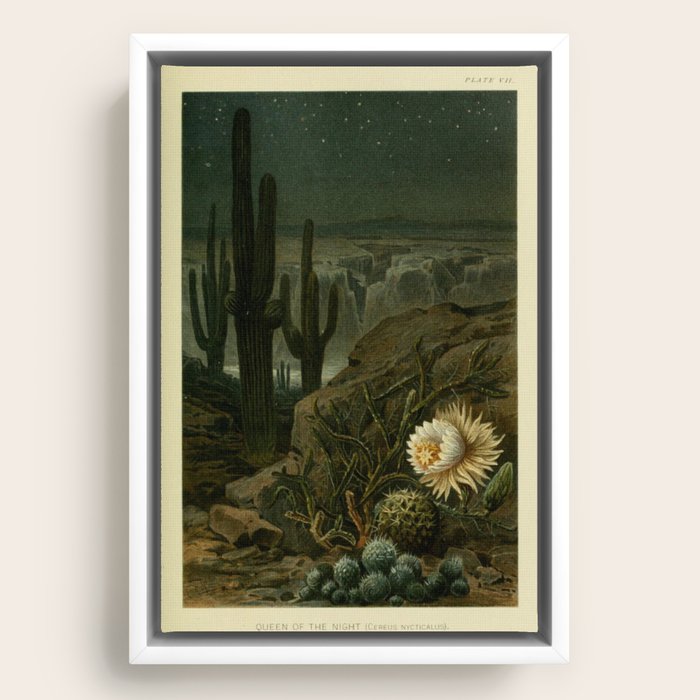 Framed Canvas