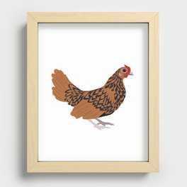 Sebright Chicken - tan, chicken, sebright chicken, art, art bird art, farm, farm animals, chicken sticker Recessed Framed Print