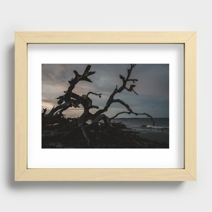 Driftwood Beach on Jekyll Island Recessed Framed Print