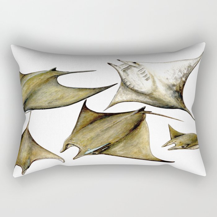 Chilean devil manta ray (Mobula tarapacana) Rectangular Pillow