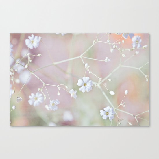 Pastel Wonderland Canvas Print