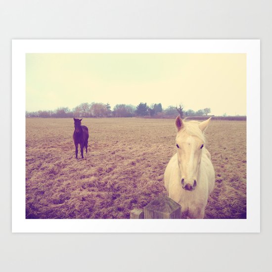 Horses Art Print