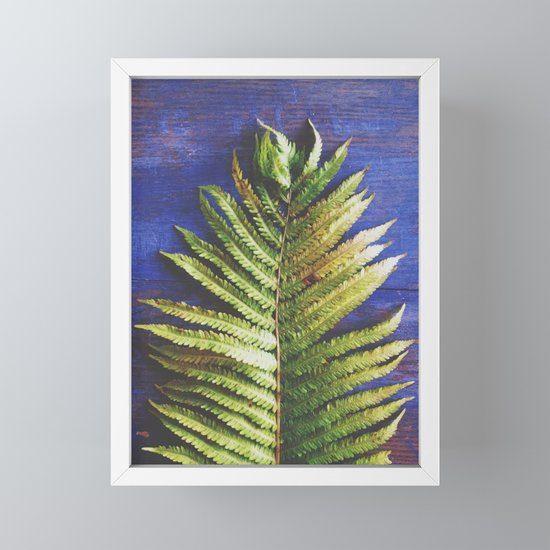 Fern Framed Mini Art Print By Joystclaire Society6